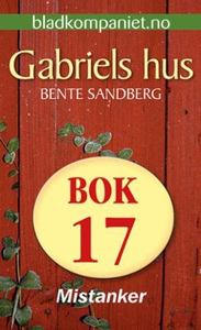 Mistanker (ebok) av Bente Sandberg