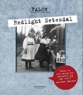 Redlight Setesdal (ebok) av Sigmund Falch