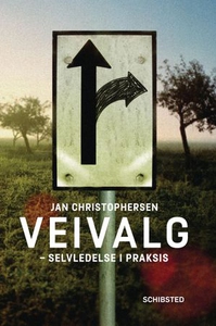 Veivalg (ebok) av Jan Christophersen