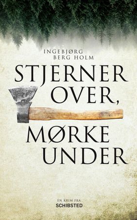 Stjerner over, mørke under (ebok) av Ingebjørg Berg Holm