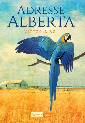 Adresse Alberta (ebok) av Victoria Bø