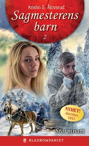 Stormnatt (ebok) av Kristin S. Ålovsrud