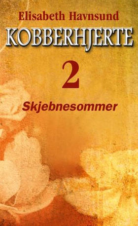 Skjebnesommer (ebok) av Elisabeth Havnsund