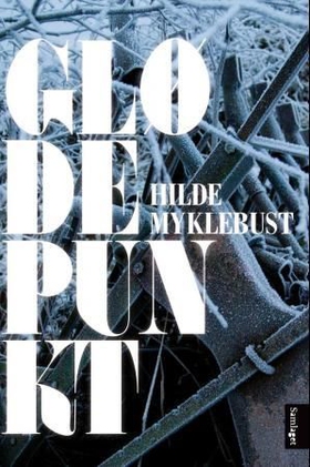 Glødepunkt - roman (ebok) av Hilde Myklebust