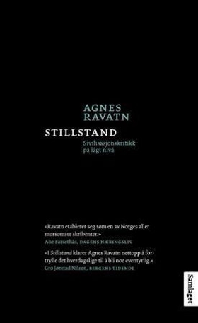 Stillstand - sivilisasjonskritikk på lågt nivå (ebok) av Agnes Ravatn