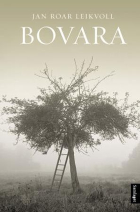 Bovara - roman (ebok) av Jan Roar Leikvoll