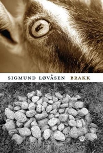 Brakk (ebok) av Sigmund Løvåsen