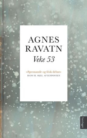 Veke 53 - roman (ebok) av Agnes Ravatn