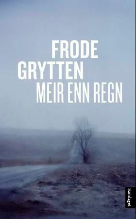 Meir enn regn - noveller (ebok) av Frode Grytten