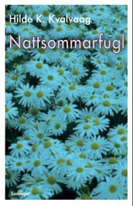Nattsommarfugl (ebok) av Hilde K. Kvalvaag