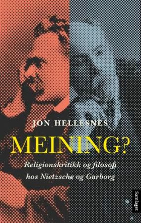 Meining? - religionskritikk og filosofi hos Nietzsche og Garborg (ebok) av Jon Hellesnes