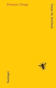 Fotturar i Norge (ebok) av Gaute M. Sortland
