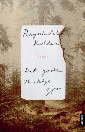 Det gode vi ikkje gjer - roman (ebok) av Ragnhild Kolden
