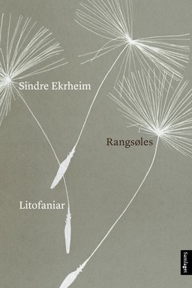 Rangsøles - litofaniar (ebok) av Sindre Ekrheim