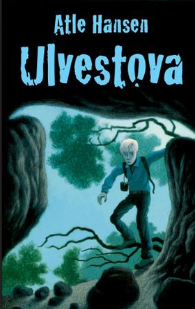 Ulvestova (ebok) av Atle Hansen