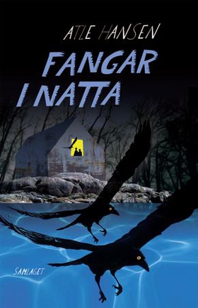 Fangar i natta - spenningsroman (ebok) av Atle Hansen