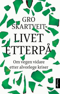 Livet etterpå (ebok) av Gro Skartveit