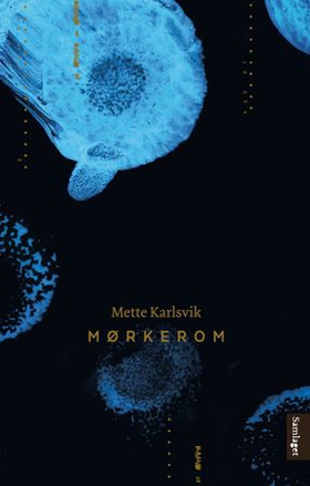Mørkerom - roman (ebok) av Mette Karlsvik