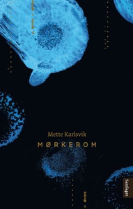 Mørkerom (ebok) av Mette Karlsvik
