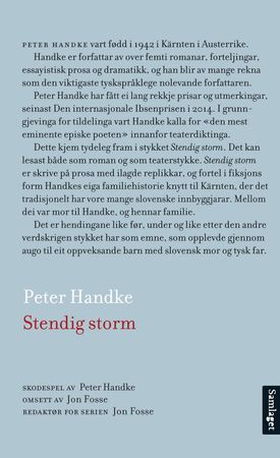 Stendig storm (ebok) av Peter Handke