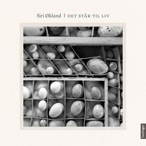 Det står til liv (ebok) av Siri Økland