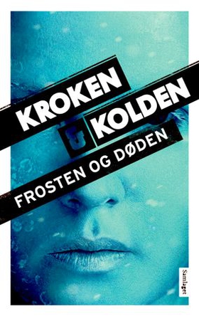 Frosten og døden - kriminalroman (ebok) av Vigdis Kroken