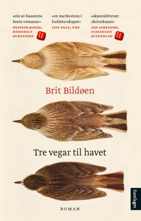 Tre vegar til havet - roman (ebok) av Brit Bildøen