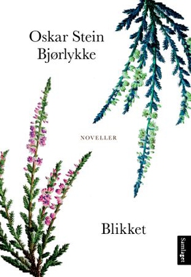 Blikket - noveller (ebok) av Oskar Stein Bjørlykke