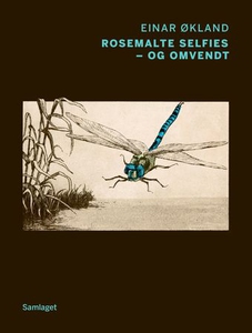 Rosemalte selfies - og omvendt (ebok) av Eina