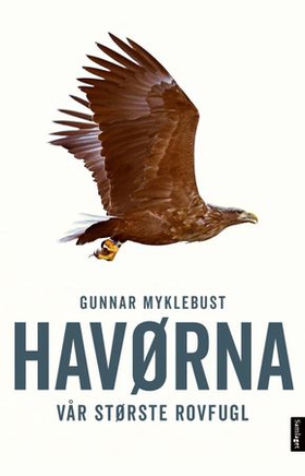 Havørna - vår største rovfugl (ebok) av Gunnar Myklebust