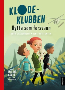 Hytta som forsvann (ebok) av Ruth Lillegraven