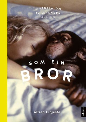 Som ein bror (ebok) av Alfred Fidjestøl