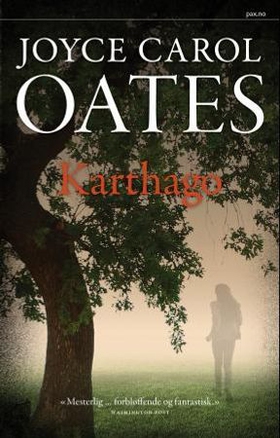 Karthago (ebok) av Joyce Carol Oates