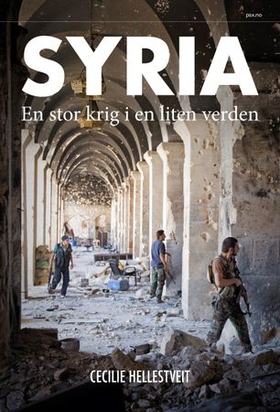 Syria - en stor krig i en liten verden (ebok) av Cecilie Hellestveit