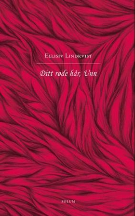 Ditt røde hår, Unn (ebok) av Ellisiv Lindkv