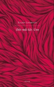 Ditt røde hår, Unn (ebok) av Ellisiv Lindkvis