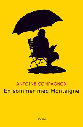 En sommer med Montaigne (ebok) av Antoine Com