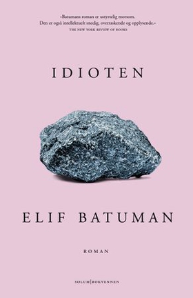 Idioten - roman (ebok) av Elif Batuman