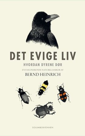 Det evige liv - hvordan dyrene dør (ebok) av Bernd Heinrich