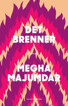 Det brenner - roman (ebok) av Megha Majumdar