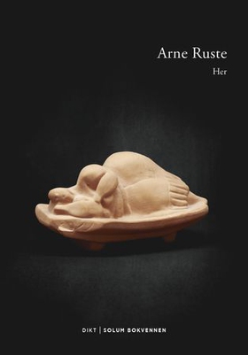 Her - meldinger, postkort, oppdateringer (ebok) av Arne Ruste