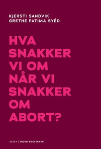Hva snakker vi om når vi snakker om abort? (e
