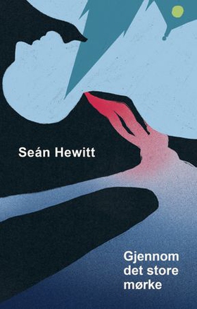 Gjennom det store mørke - memoarer (ebok) av Seán Hewitt