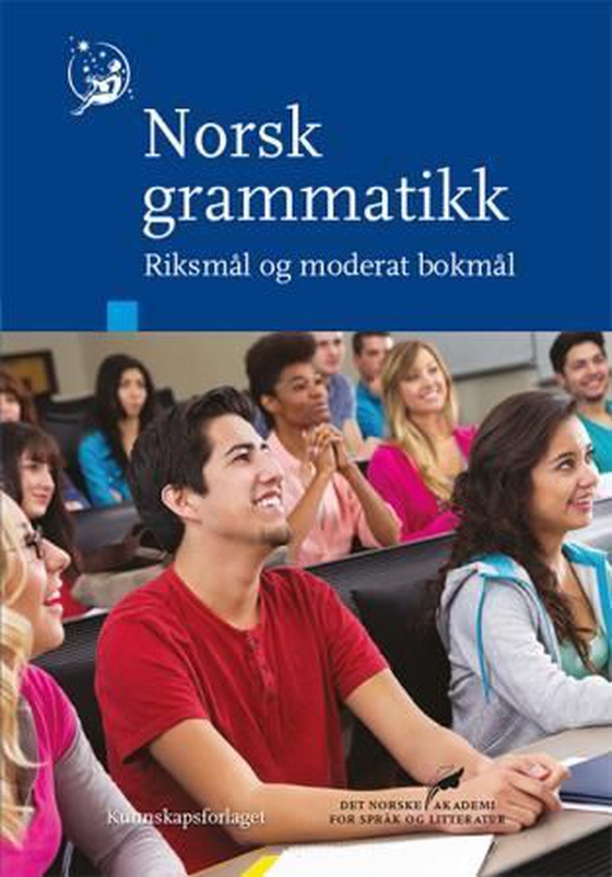 Norsk grammatikk