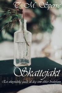 Skattejakt (ebok) av T.M. Sperre