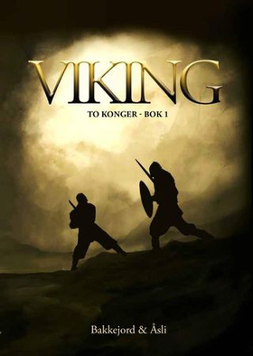 Viking (ebok) av Tony Bakkejord