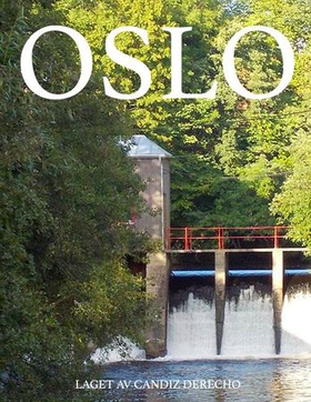 Oslo (ebok) av Candiz Derecho
