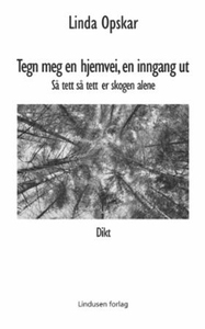 Tegn meg en hjemvei, en inngang ut (ebok) av