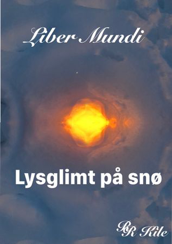 Lysglimt på snø