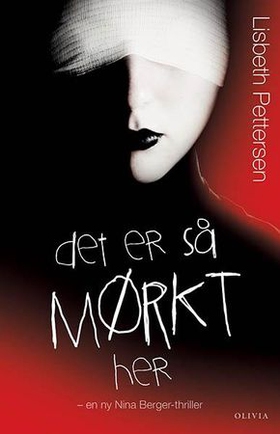 Det er så mørkt her - thriller (ebok) av Lisbeth Pettersen